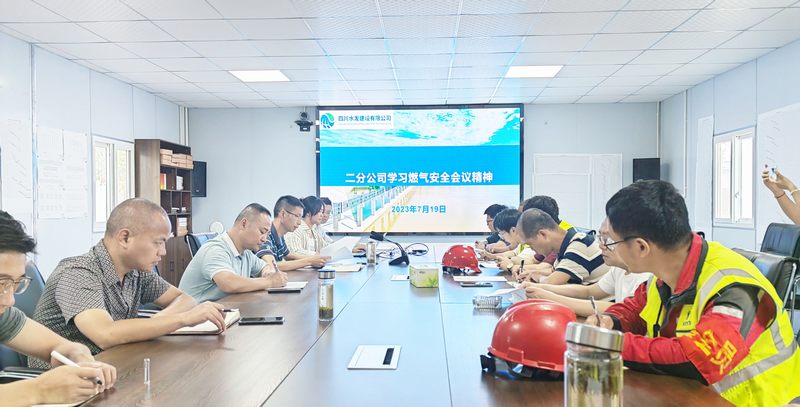 二分公司組織開展燃?xì)獍踩珯z查