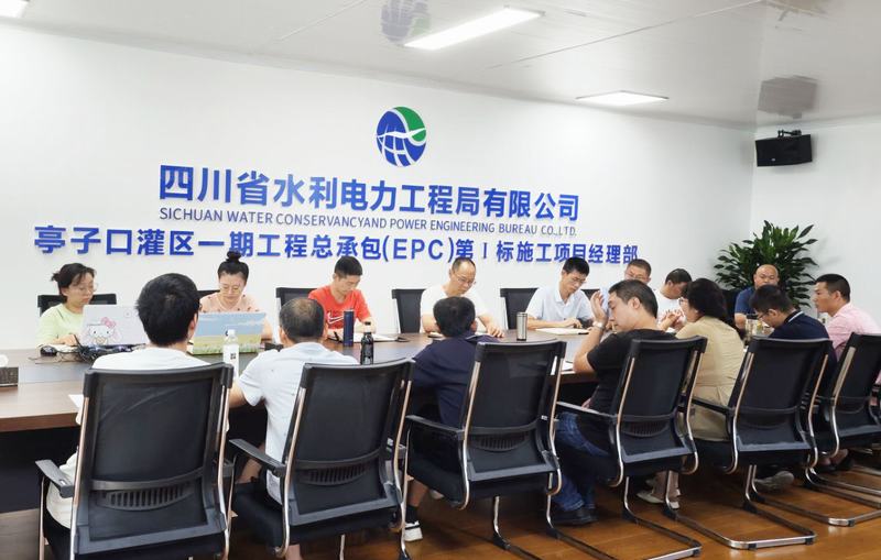 汪輝德一行到亭子口項目調研指導工作