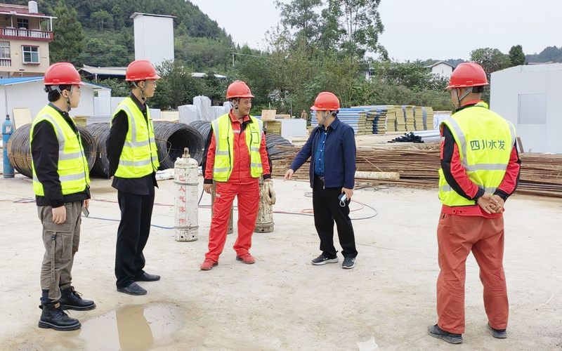 茍仕聰一行到亭子口項目I標調研工作