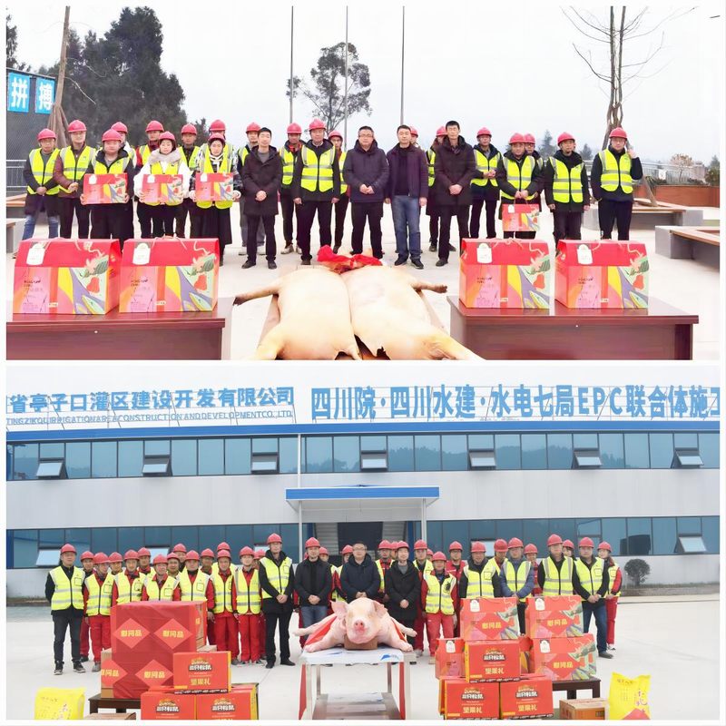 羅雪總經(jīng)理一行赴亭子口項目開展調(diào)研慰問活動