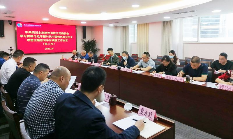 公司召開學習貫徹習近平新時代中國特色社會主義思想主題教育第二次調(diào)度工作會