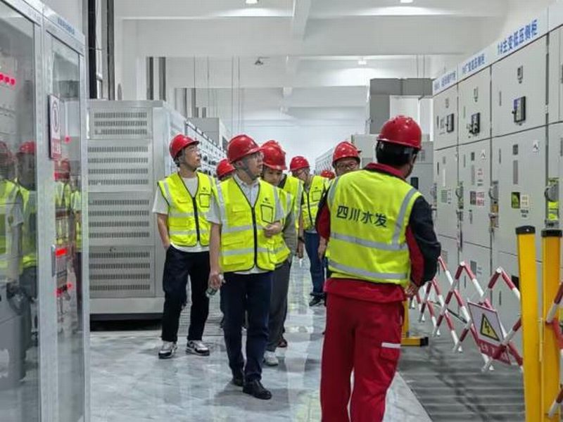 深化合作，攜手并進—甘肅隴西熱電項目業(yè)主一行蒞臨青神虎渡溪項目工程參觀考察